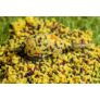 Speciál mix Method Carp Pellet Máj 2 mm