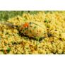 Speciál mix Method Carp Pellet Mangó 2 mm